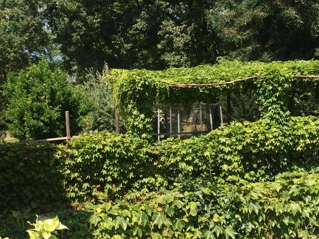 Fattoria Sequoia Bed & Breakfast Castagneto Po Exterior photo