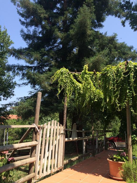Fattoria Sequoia Bed & Breakfast Castagneto Po Room photo